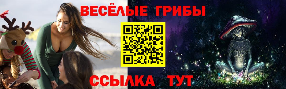 Псилоцибиновые грибы Psilocybine cubensis  Вход с VPN  Псилоцибиновые грибы мухоморы  Соль-Илецк 